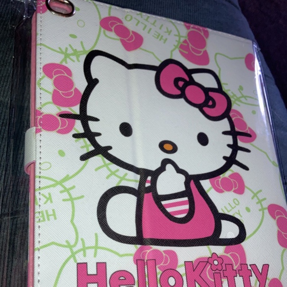 Hello kitty case